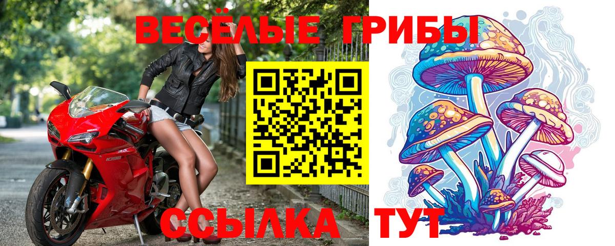 Ирбит  Псилоцибиновые грибы MAGIC MUSHROOMS  Вход с VPN 